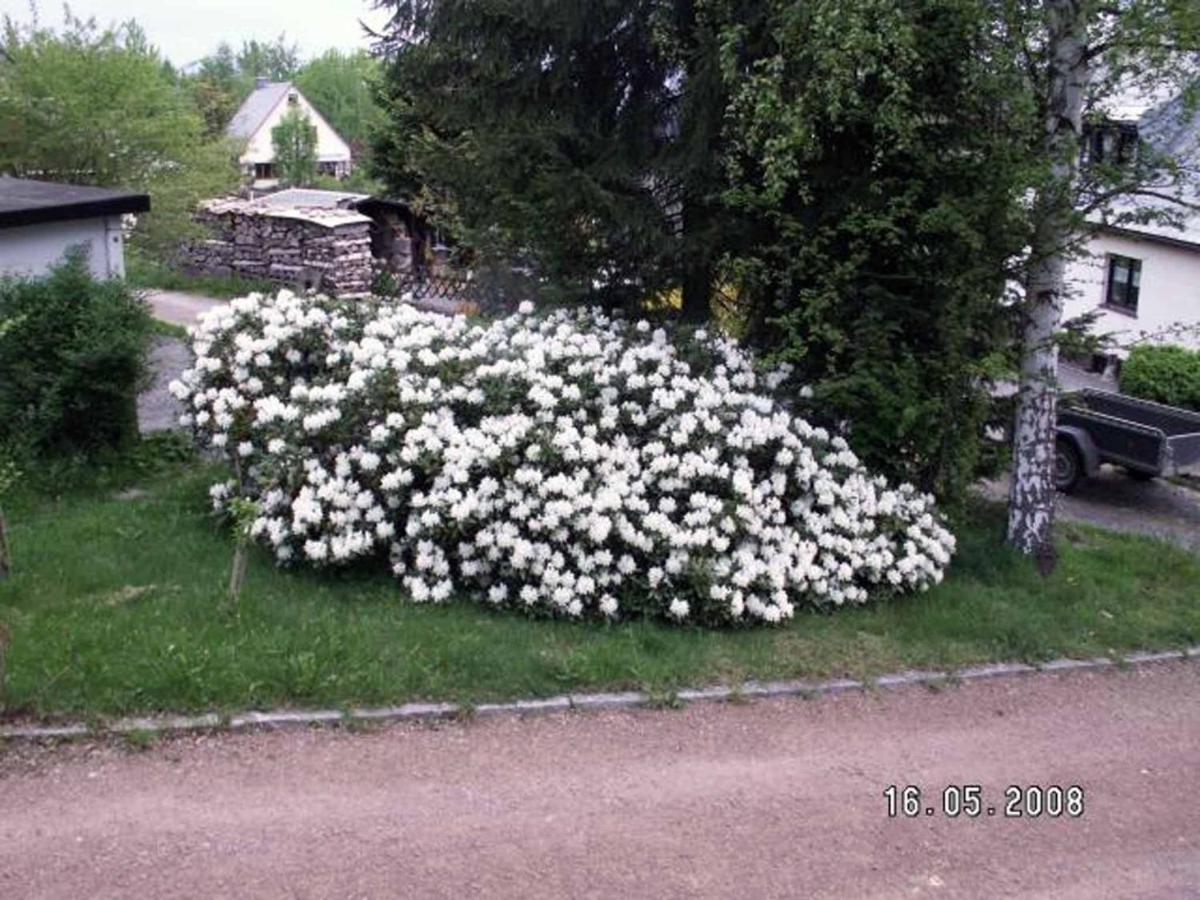 Ferienhaus Ferien Am Waldrand Altenberg Luaran gambar